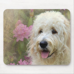 Mousepad goldendoodle louro no jardim