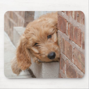 Mousepad Goldendoodle Puppy Peeking