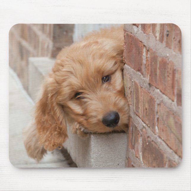 Mousepad Goldendoodle Puppy Peeking (Frente)