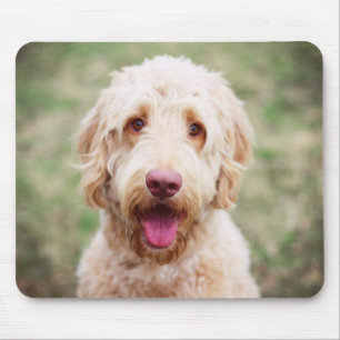 Mousepad Goldendoodle sorrindo