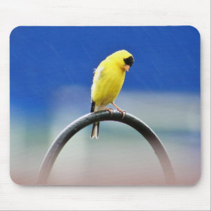 Mousepad Goldfinch