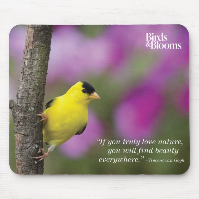 Mousepad Goldfinch (Frente)