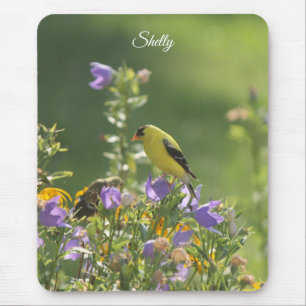 Mousepad Goldfinch em uma Flor Harebell