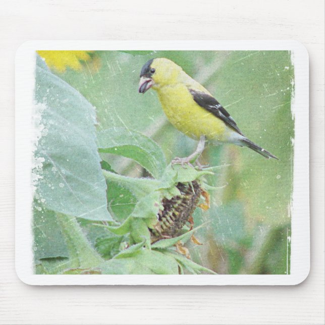 Mousepad Goldfinch Grunge (Frente)