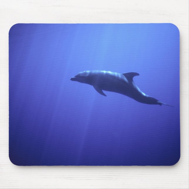 Mousepad Golfinho (Frente)