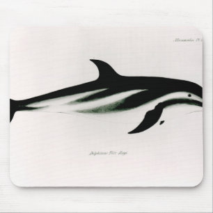 Mousepad Golfinho