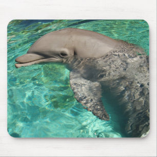 Mousepad Golfinho 2