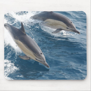 Mousepad Golfinho comum