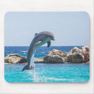 Mousepad Golfinho de Bottlenose