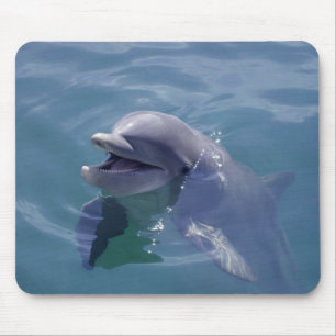 Mousepad Golfinho de sorriso