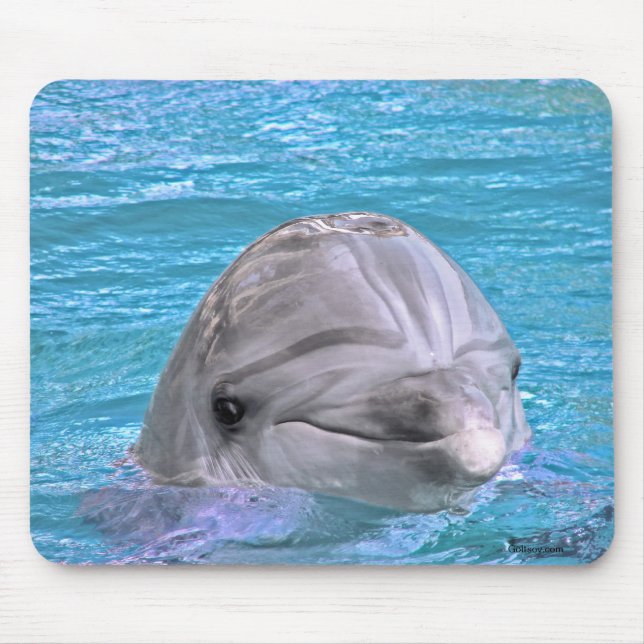 Mousepad Golfinho de sorriso (Frente)