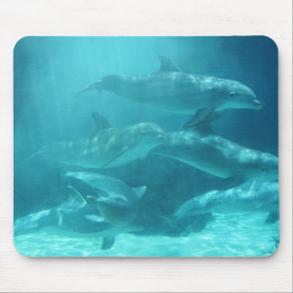 Mousepad Golfinhos