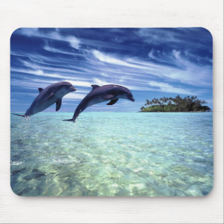 Mousepad Golfinhos abundante