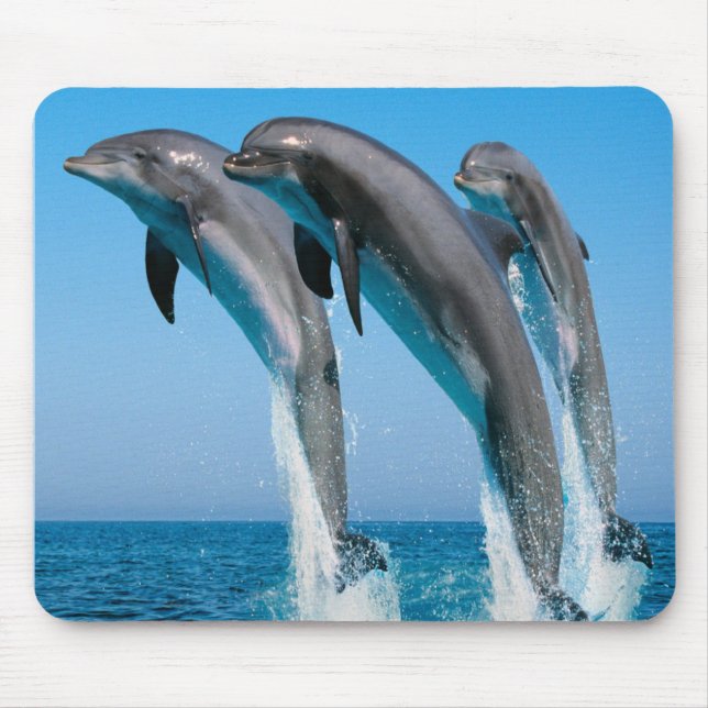 Mousepad Golfinhos da dança (Frente)