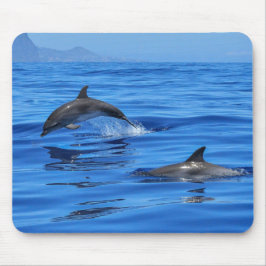 Mousepad Golfinhos felizes