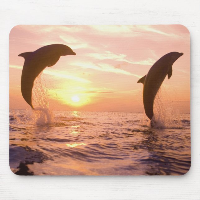 Mousepad Golfinhos-nariz-de-garrafa Tursiops truncatus (Frente)