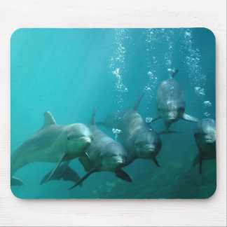 Mousepad Golfinhos subaquáticos