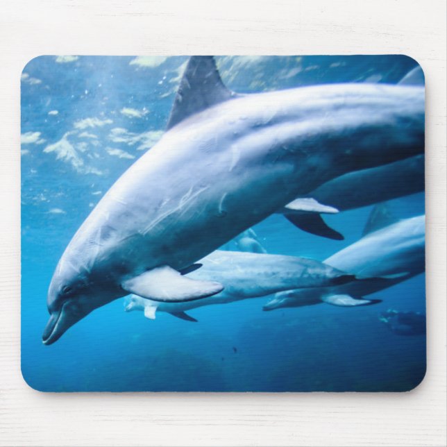 Mousepad Golfinhos subaquáticos (Frente)