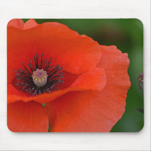 Mousepad Gorgeous Red Poppy