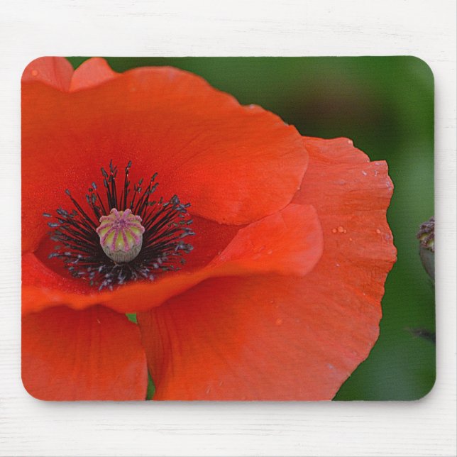 Mousepad Gorgeous Red Poppy (Frente)