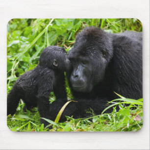 Mousepad Gorila da Montanha Infantil Beija Gorila Macho Sil