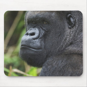 Mousepad Gorila-de-terra-baixa-de-costas-prateadas, Gorila