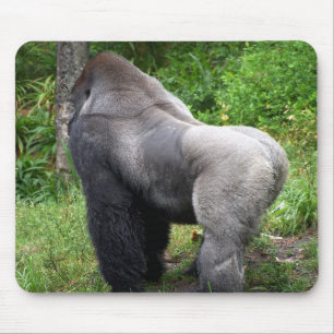Mousepad Gorila do Silverback
