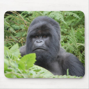 Mousepad Gorilla em Ruanda