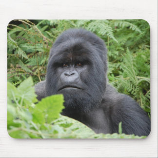 Mousepad Gorilla em Ruanda
