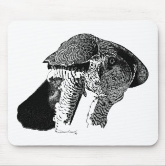 Mousepad Goshawk do norte