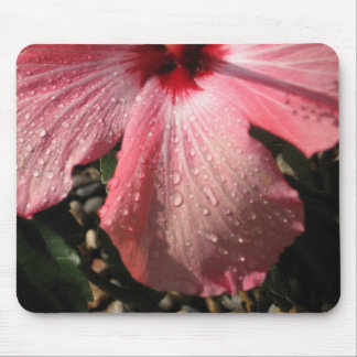 Mousepad Gotas cor-de-rosa da água do hibiscus