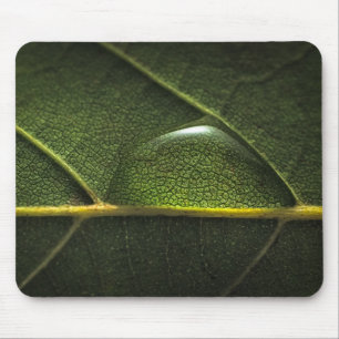Mousepad Gotas da folha