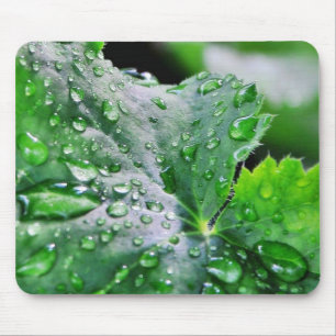 Mousepad Gotas das gotas de água do orvalho