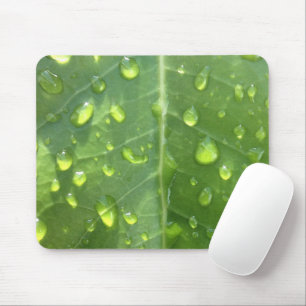 Mousepad Gotas de chuva em folha