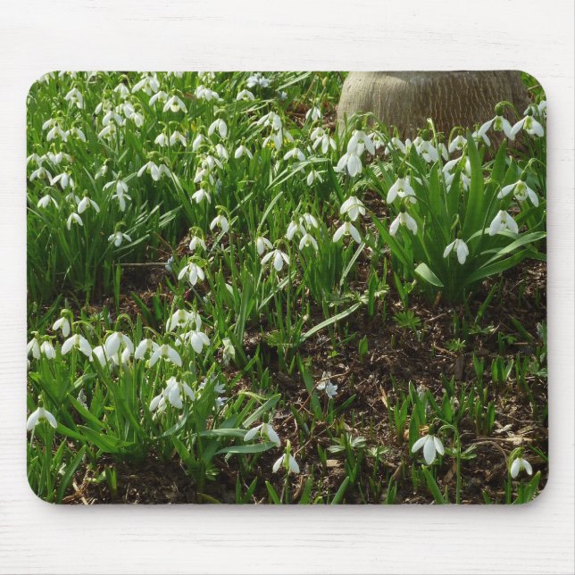 Mousepad Gotas de neve II (Galanthus) Primavera (Frente)