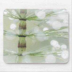 Mousepad Gotículas de Orvalho na Planta de Cavalinha Seab