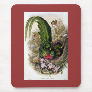 Mousepad Gould - Quetzal
