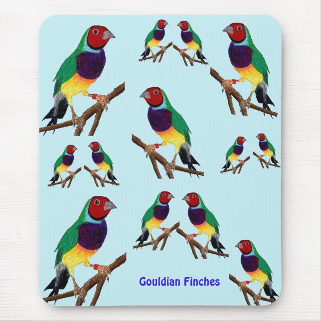 Mousepad ~ Gouldian Finch ~ Arte Original ~ Pad do Mouse (Frente)