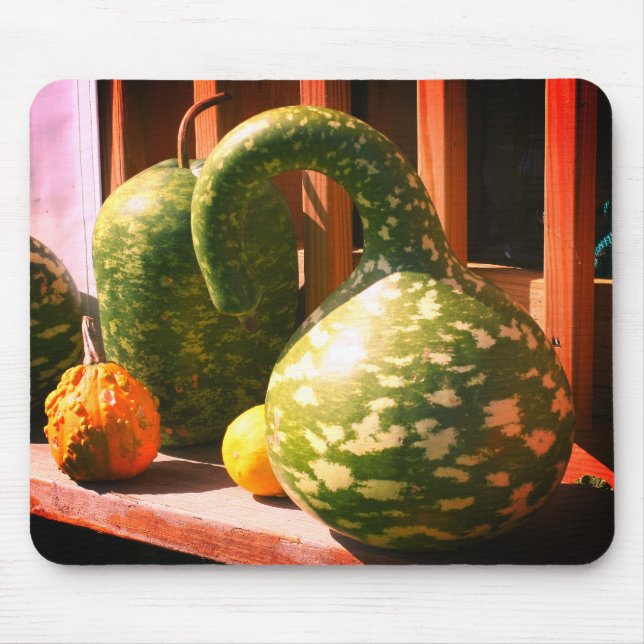 Mousepad Gourds Natureza Gourds Gigante (Frente)