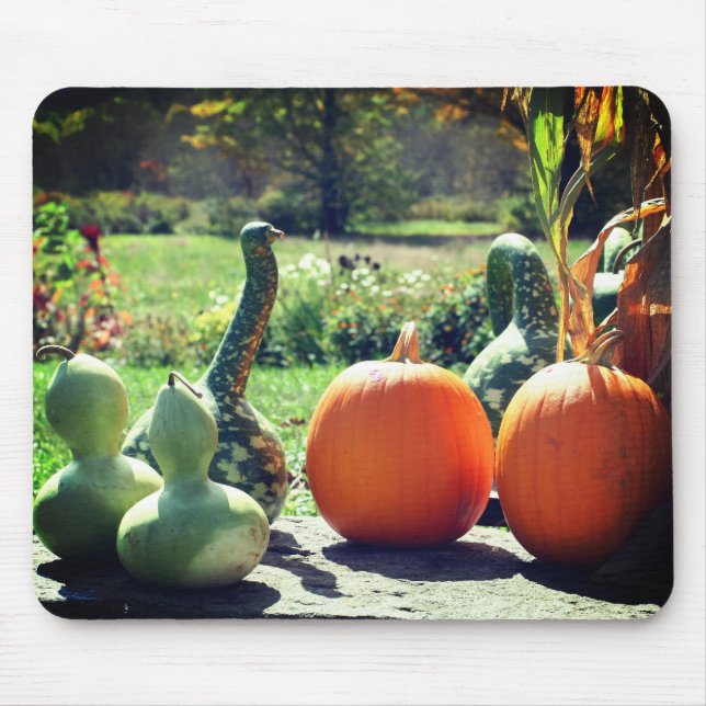 Mousepad Gours Gigantes E Natureza De Pumpkins (Frente)