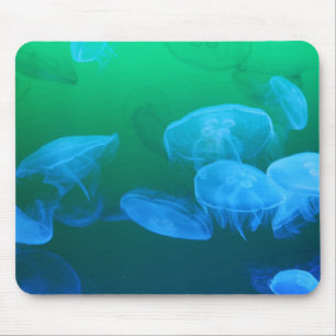 Mousepad Gradação Azul Verde de Água-Viva legal