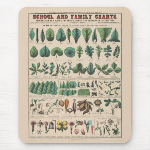 Mousepad Gráfico Antigo da Escola Botânica Natureza Vintage