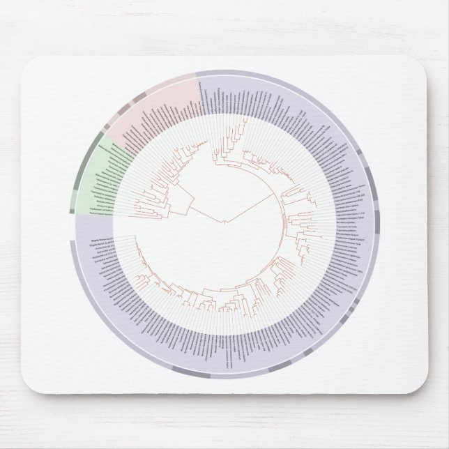 Mousepad Gráfico de árvore filogenética da vida (Frente)