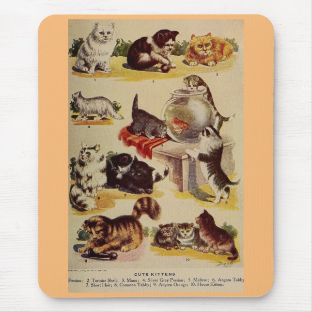 Mousepad Gráfico de raça gatinha de gatos-do-campo (Frente)