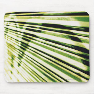 Mousepad Grafites em um obturador