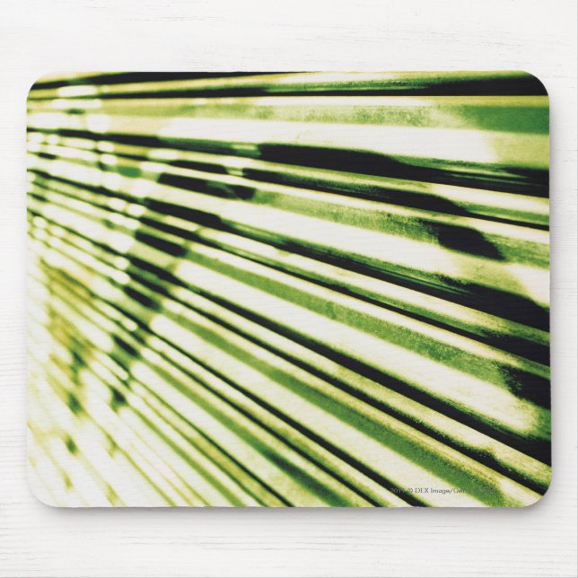 Mousepad Grafites em um obturador (Frente)