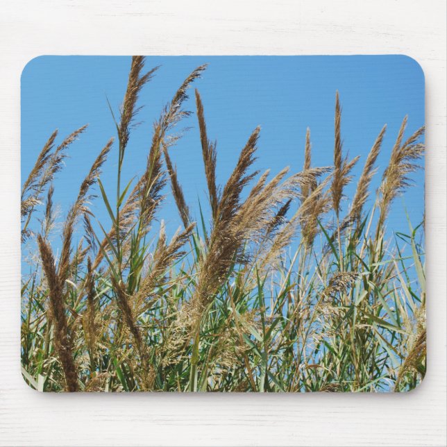 Mousepad Grama de lingüeta em um lago (Frente)