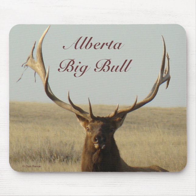 Mousepad Grama dos alces de E13 Bull nos chifres (Frente)