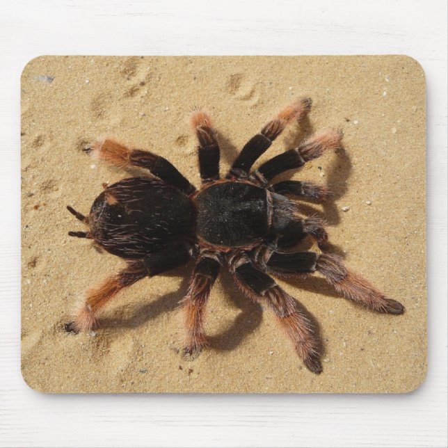 Mousepad Grande Aranha (Frente)