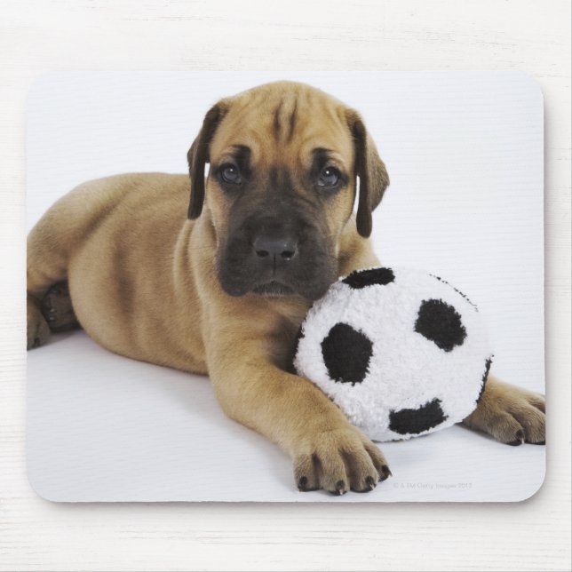 Mousepad Grande cachorrinho de Dane com bola de futebol de  (Frente)